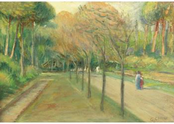 Strada in pineta Strada in pineta